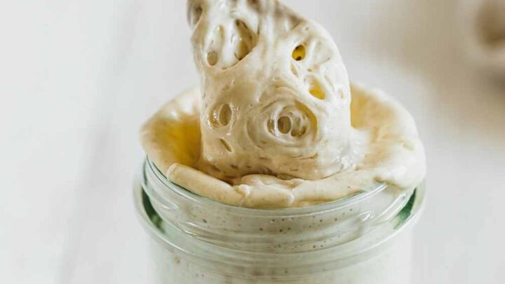 thick sourdough starter