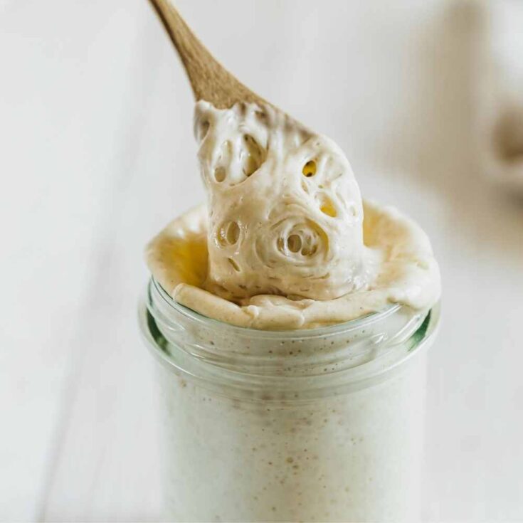 sourdough starter 2