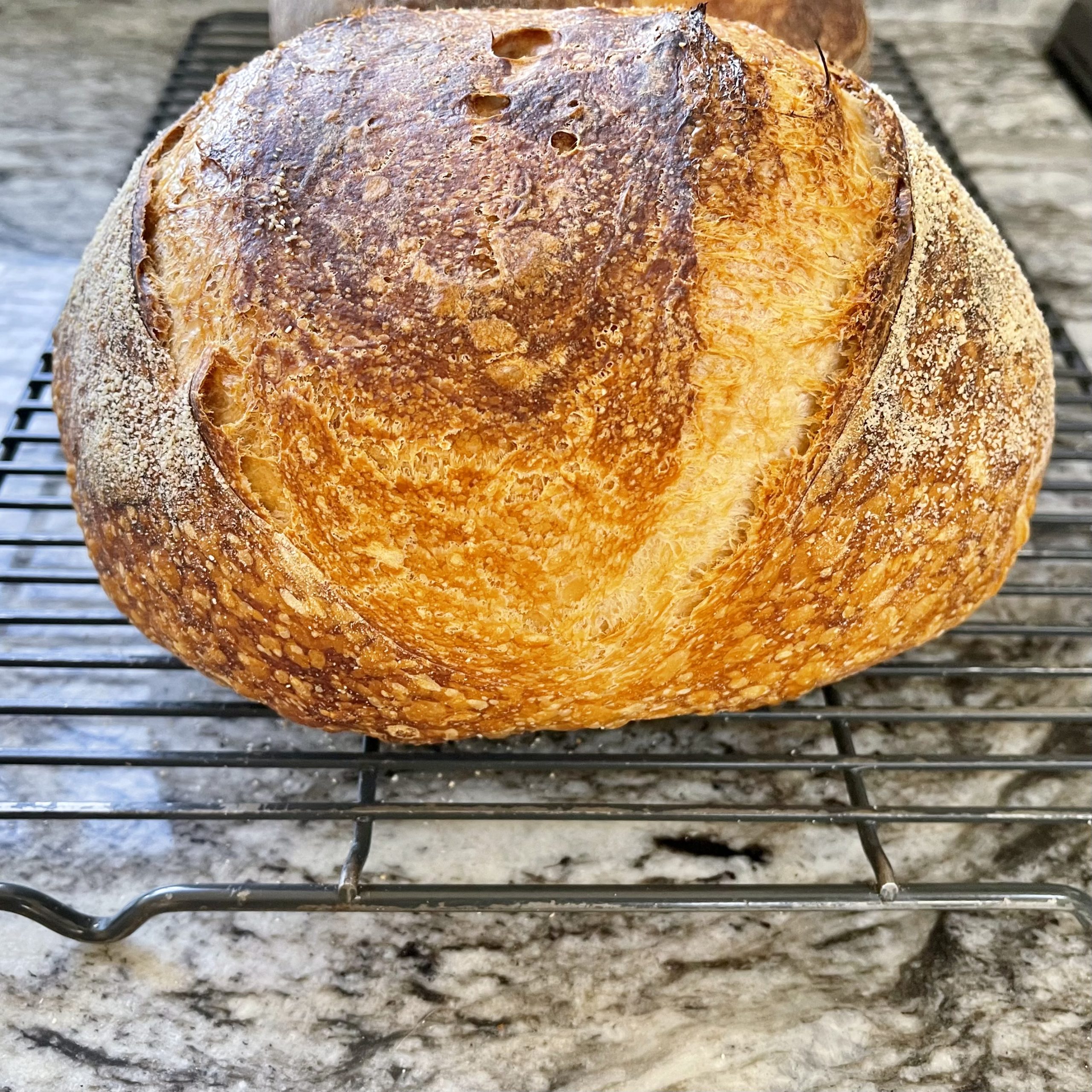 70 hydration bread flour bake scaled