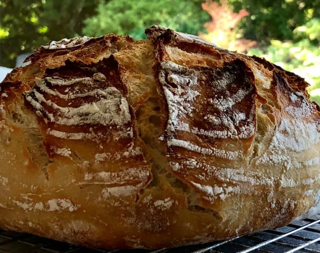 Beginners Artisan Sourdough Bread formed in a ridged banneton basket.