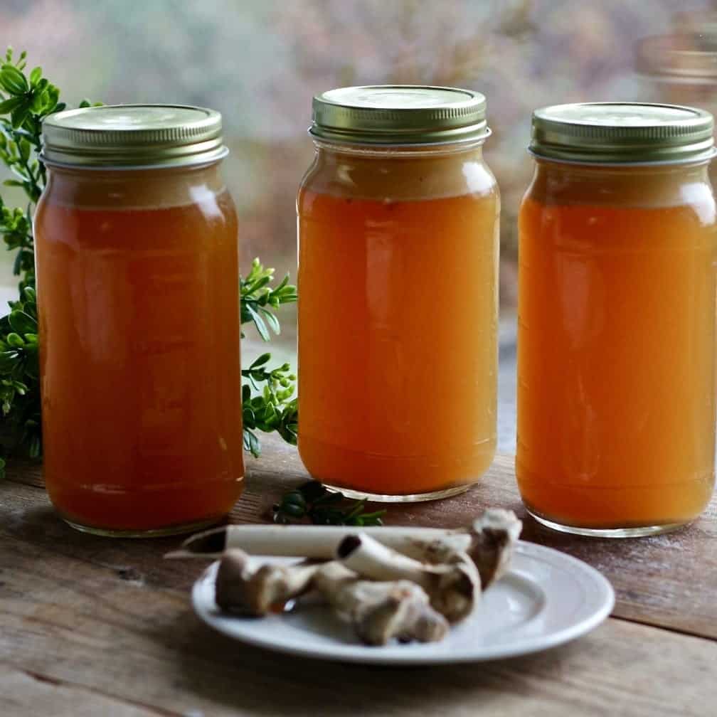Instant Pot Bone Broth