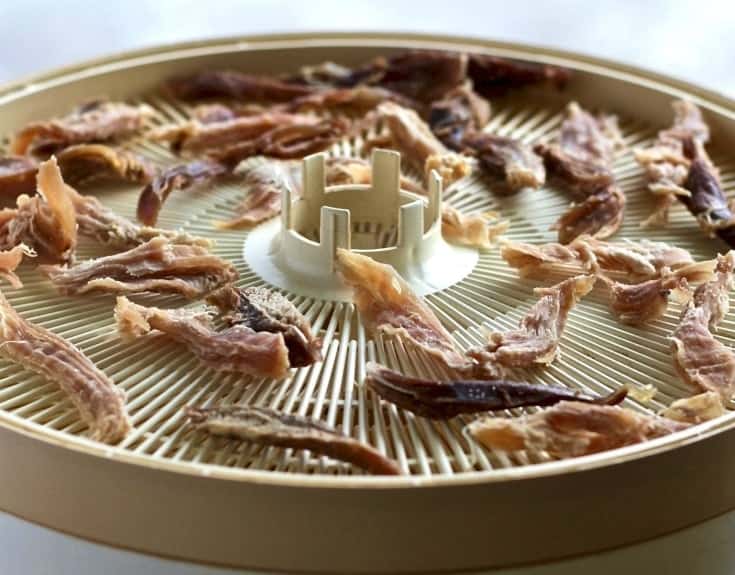 Turkey Jerky Dog Treats laying on a food dehydrator tray