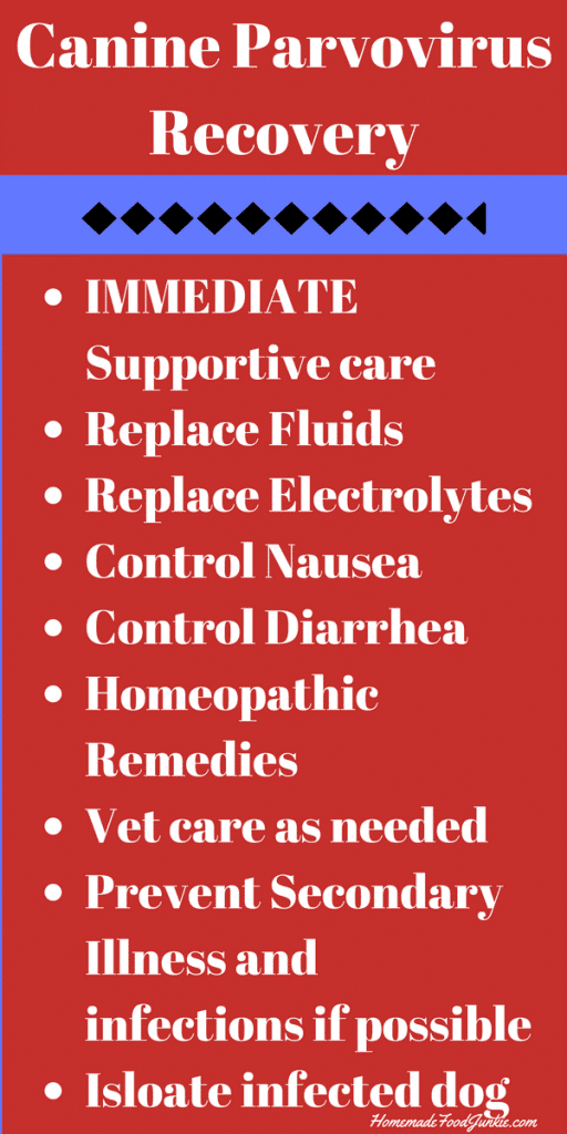 Parvo Recovery process