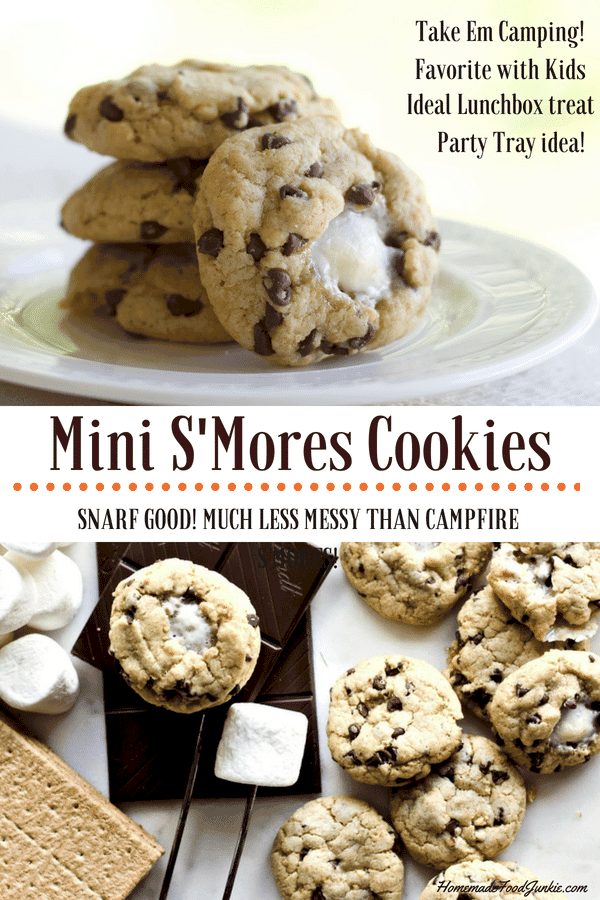 Mini SMores Cookies 2