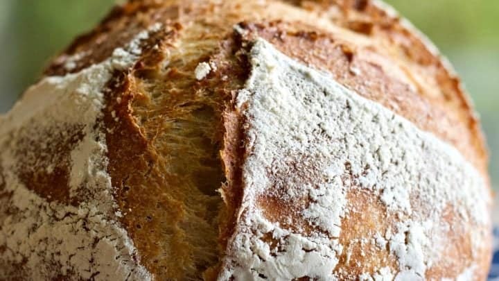 Sourdough Whole Wheat Artisan Bread