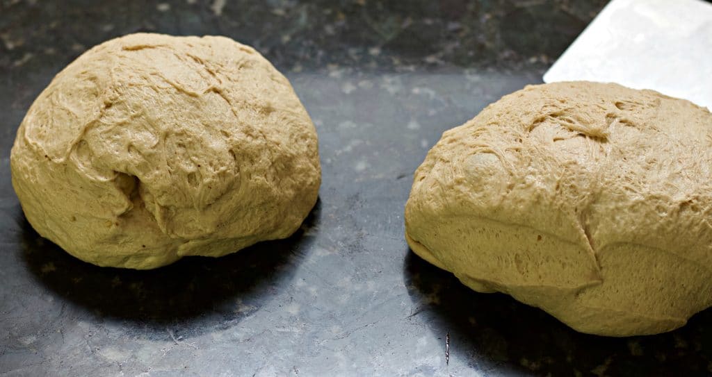 Sourdough Whole Wheat Dough