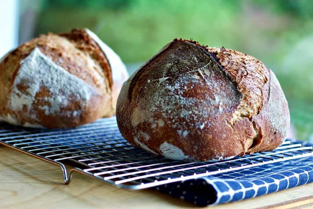 Simple Sourdough MultiGrain Bread 3 Whole Wheat Sourdough loaves