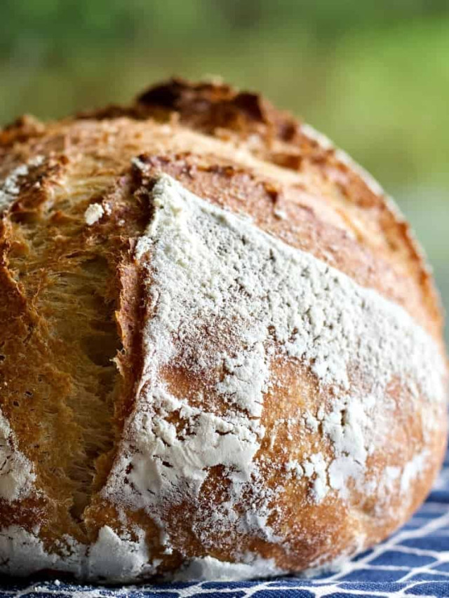 Sourdough Whole Wheat Artisan Bread has moderate sourdough hydration. 