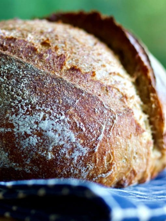 Sourdough Whole Wheat Bread