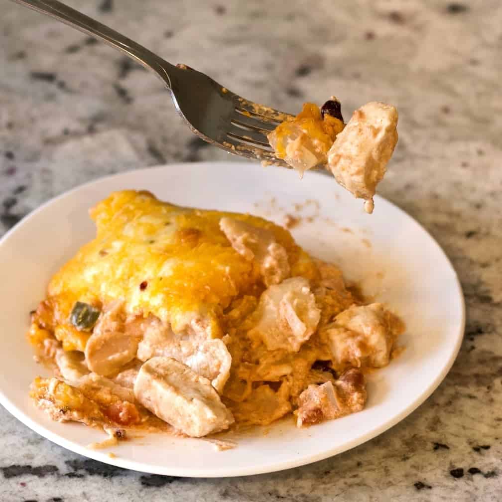 Chili Chicken Casserole on a white plate with a fork full above it.
