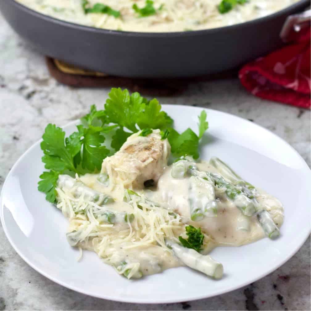 white serving plate with alfredo chicken garnished with Italian parsley
