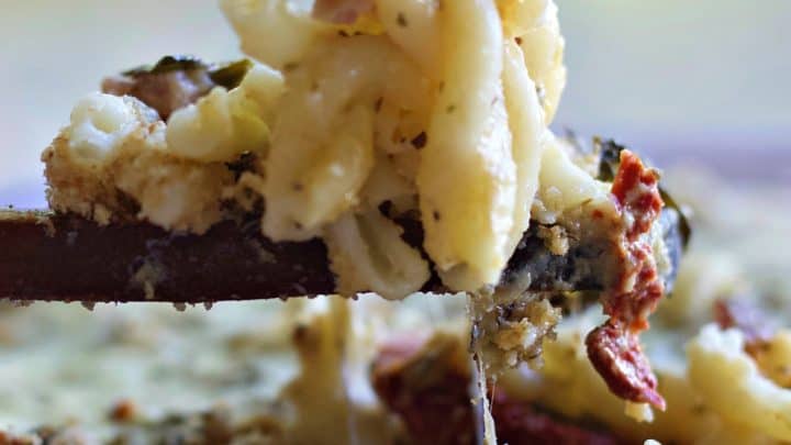 Noodle Casserole with ham