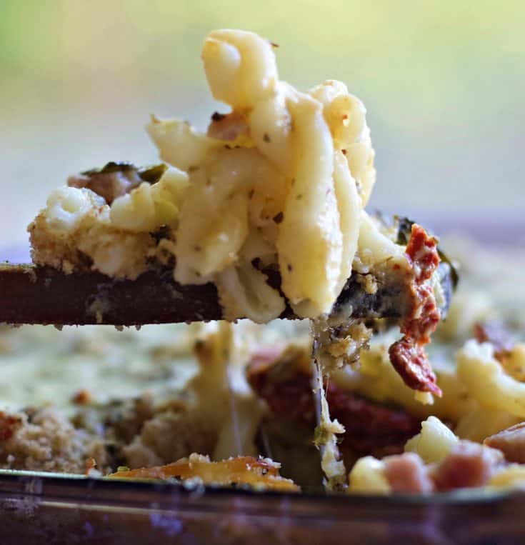 Noodle Casserole with ham