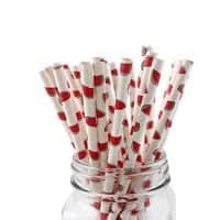 IPALMAY Watermelon Patterned Drinking Paper Straws, Disposable Biodegradable, 7.75 Inches, Pack of 100