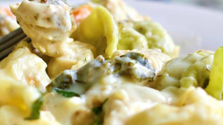 Chicken tortellini Alfredo on a fork
