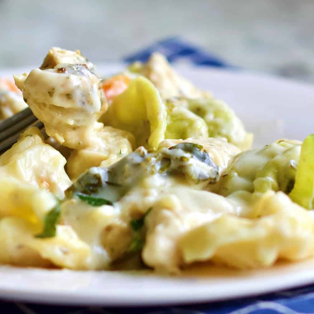 Chicken tortellini Alfredo on a fork