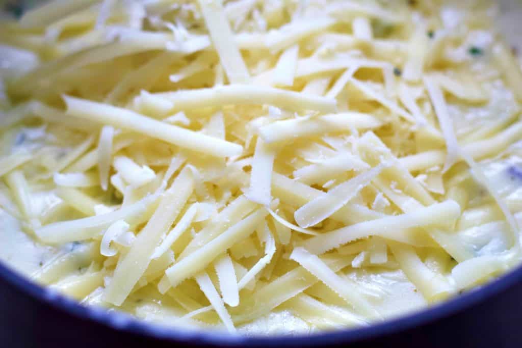 Parmesan cheese on Alfredo sauce