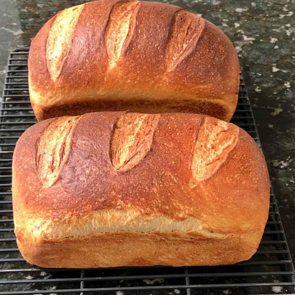 Soft Sourdough Sandwich Bread Recipe 6 2 loaves of baked sourdough sandwich bread
