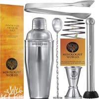 Premium Cocktail Shaker Bartender Kit -24 Ounces Bar Set Built-in Strainer With Muddler, Mixing Spoon, Measuring Jigger and Ice Tong Plus Cocktail Recipes - Bar Tools for Martini (Stainless Steel 304)