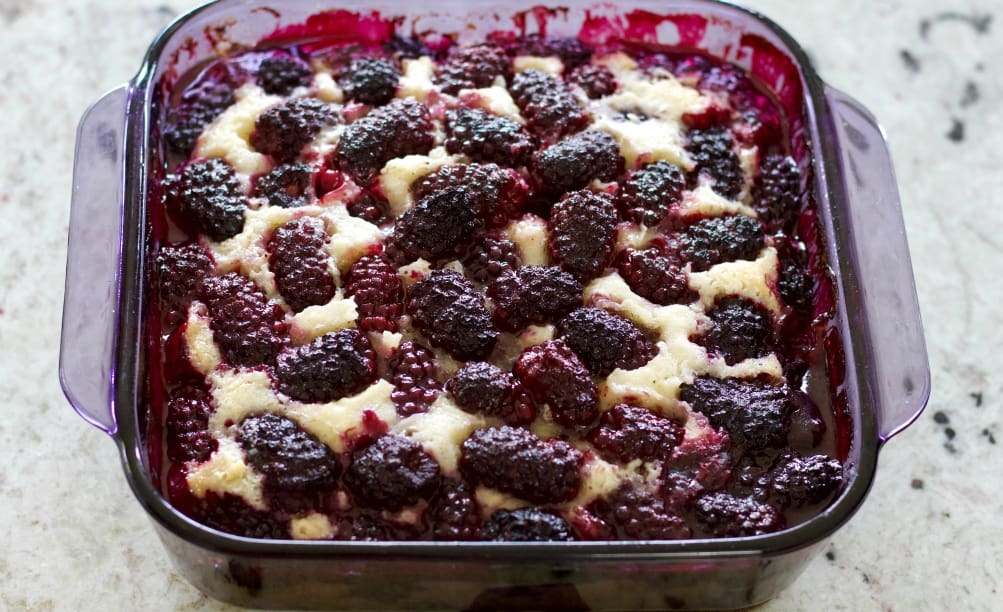 Blackberry cobbler in a 9 x 9 inch baking dish.
