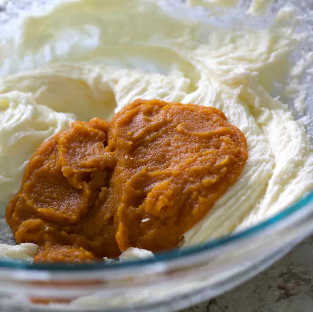 pumpkin on the cream cream cheese and sugar pumpkin cheesecake bars