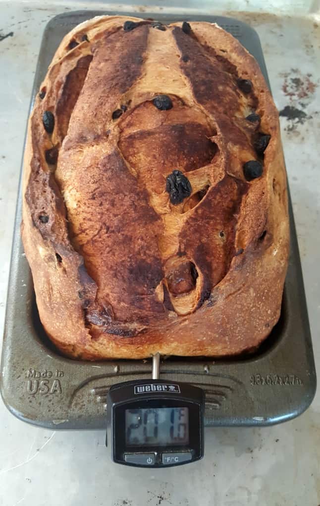 check bread temperature. Sourdough cinnamon raisin bread
