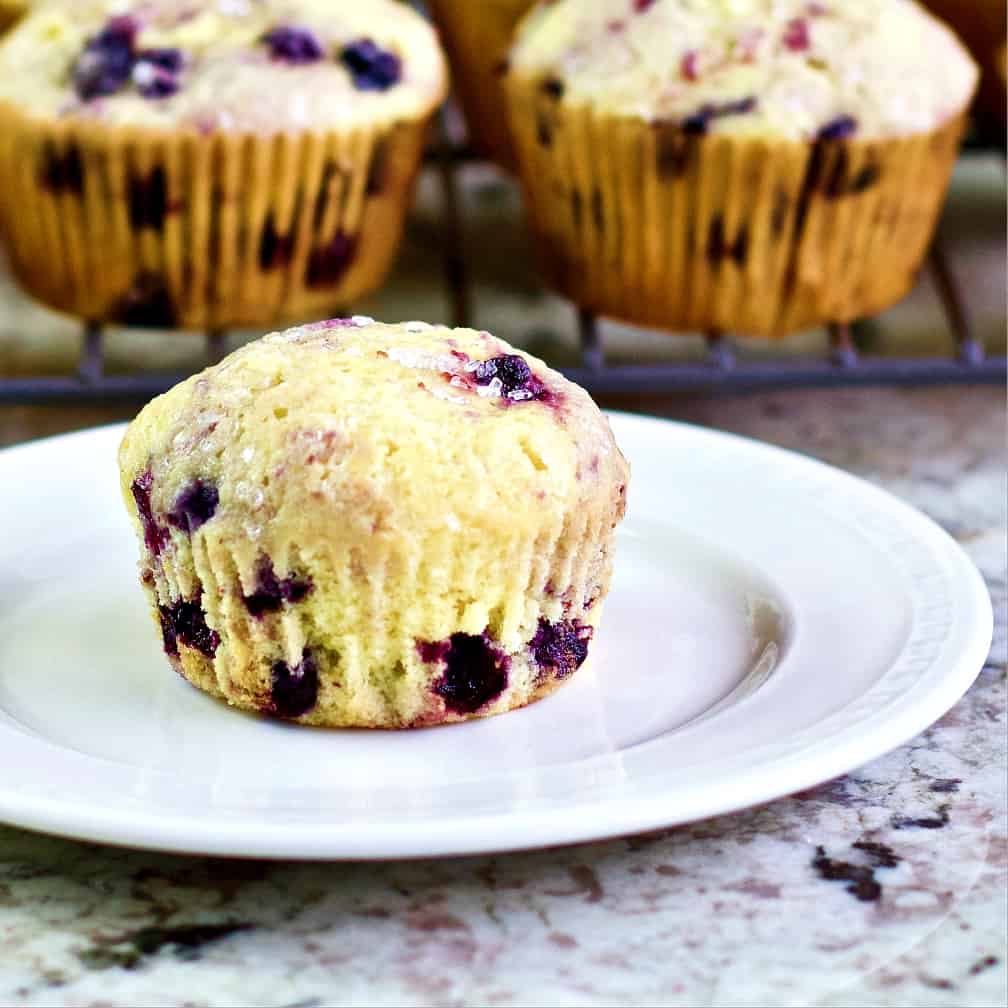 lemon blueberry muffins-plated