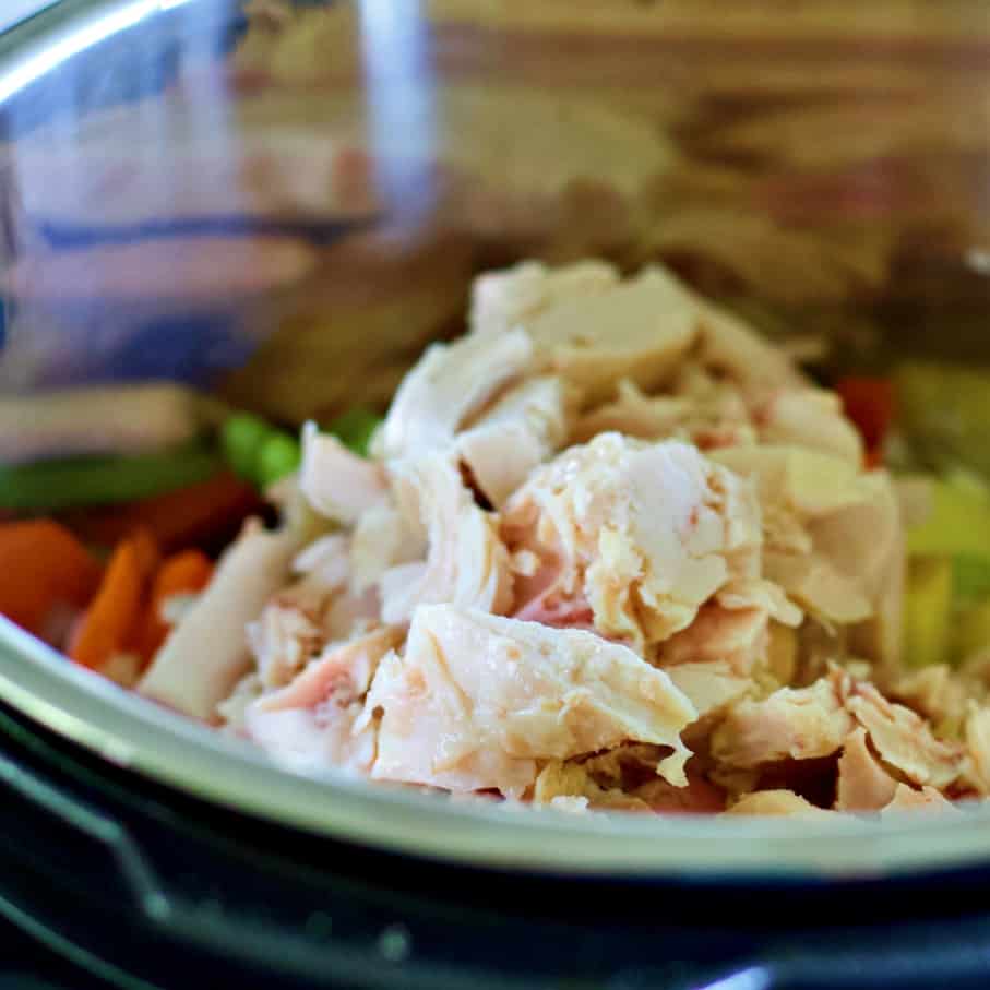 chicken in instant pot on vegetables