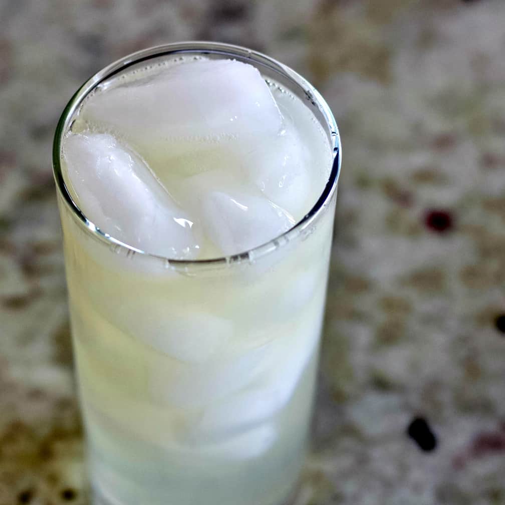 Fill gin fizz with club soda