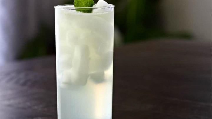 Gin Fizz cocktail on a dark table