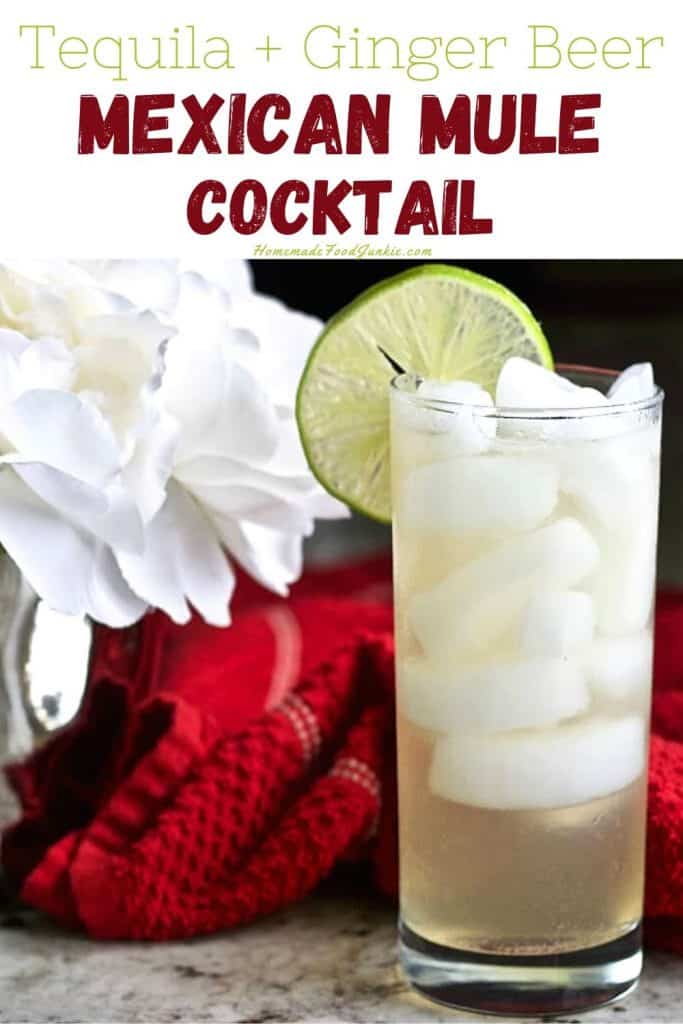 Mexican Mule Cocktail-pin image