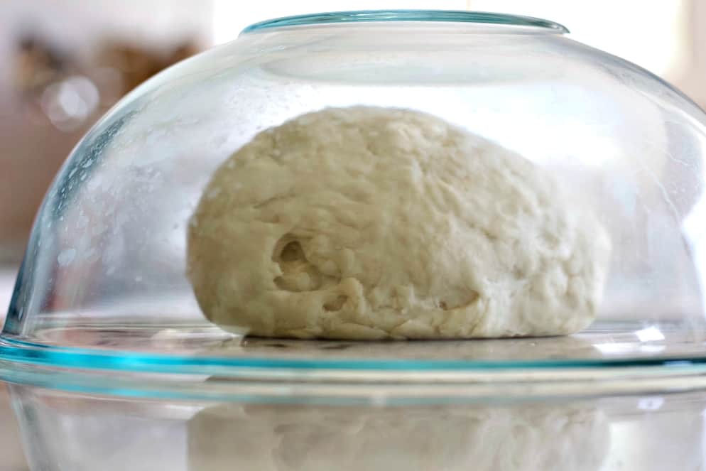 covered bagel dough ball-bagel recipe