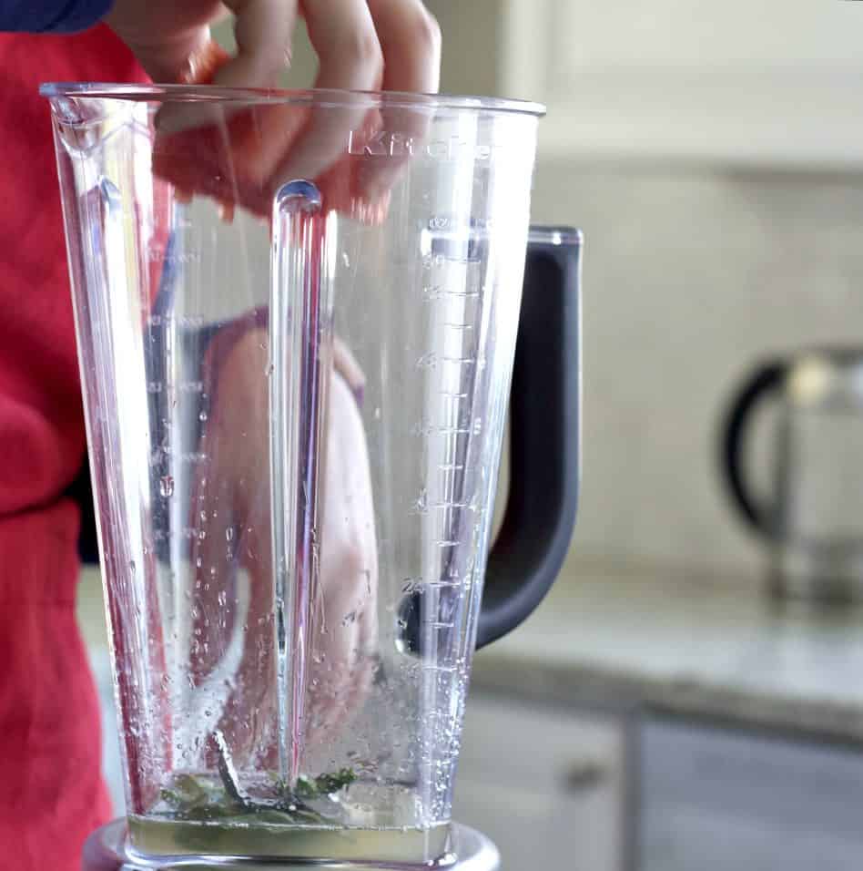adding watermelon to blender