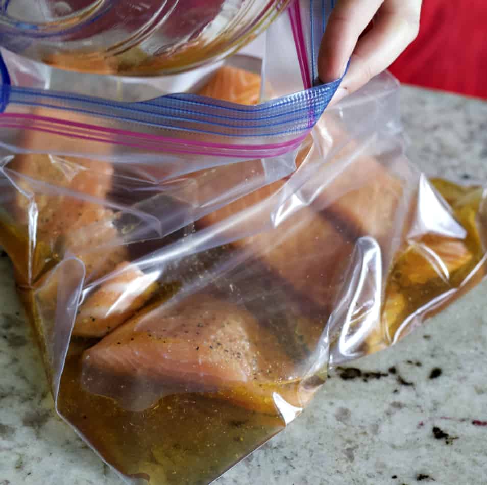salmon in marinade bag