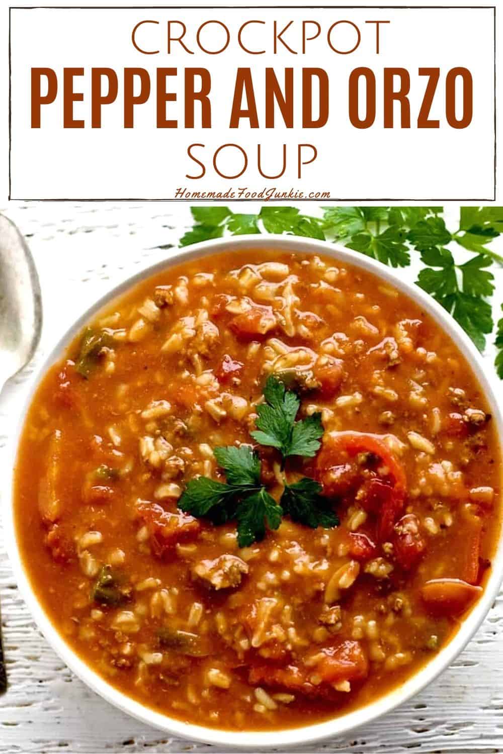 Crockpot pepper and orzo soup-pin image