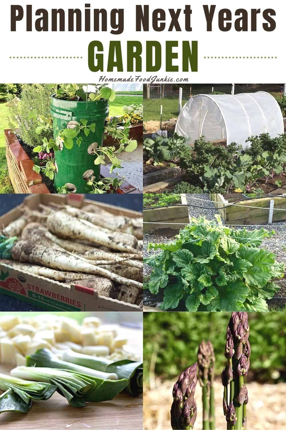 Planning next years garden-pin image