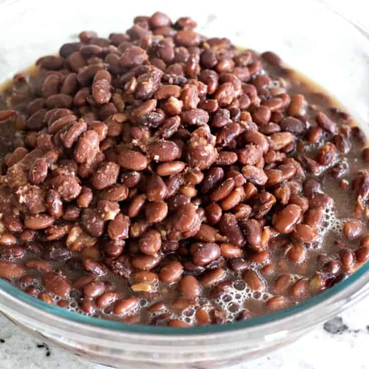 Instant Pot Pinto beans