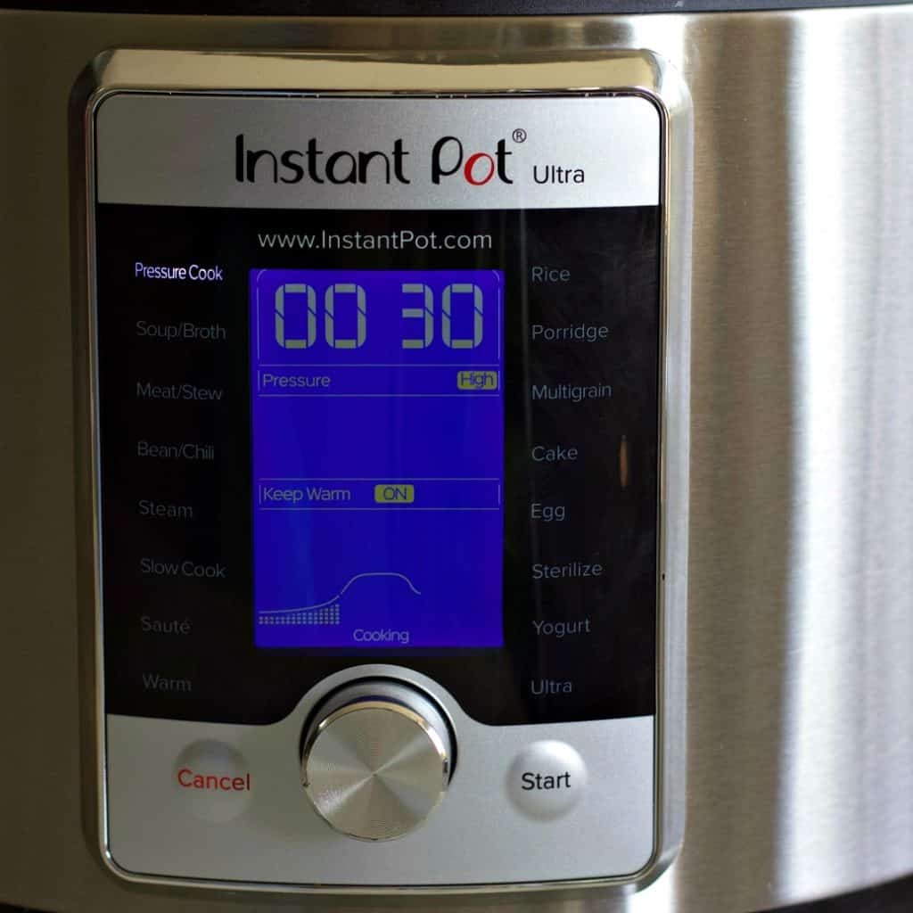 Instant pot pinto beans setting