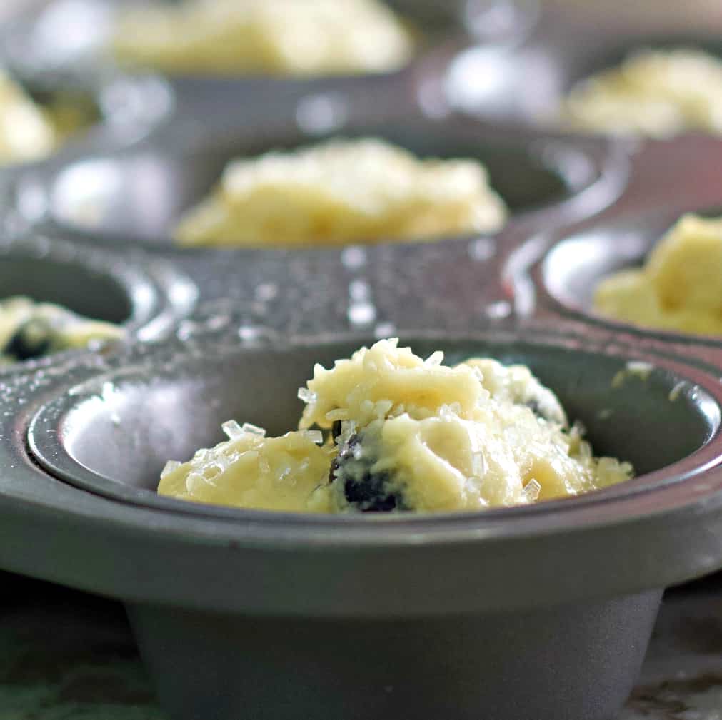 Incredible Banana Blueberry Muffins 9 muffin batter