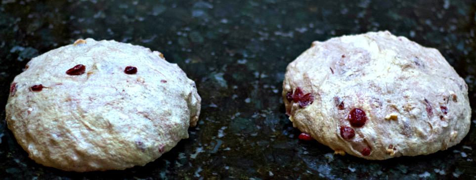 bench rest-cranberry walnut bread