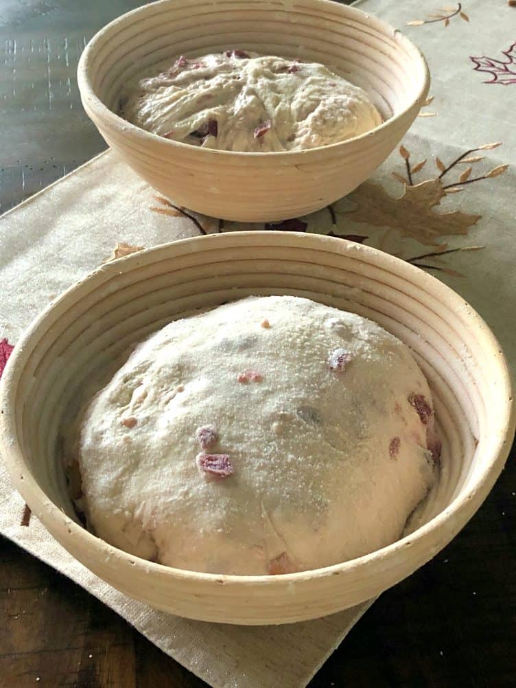 cranberry walnut bread-final rise