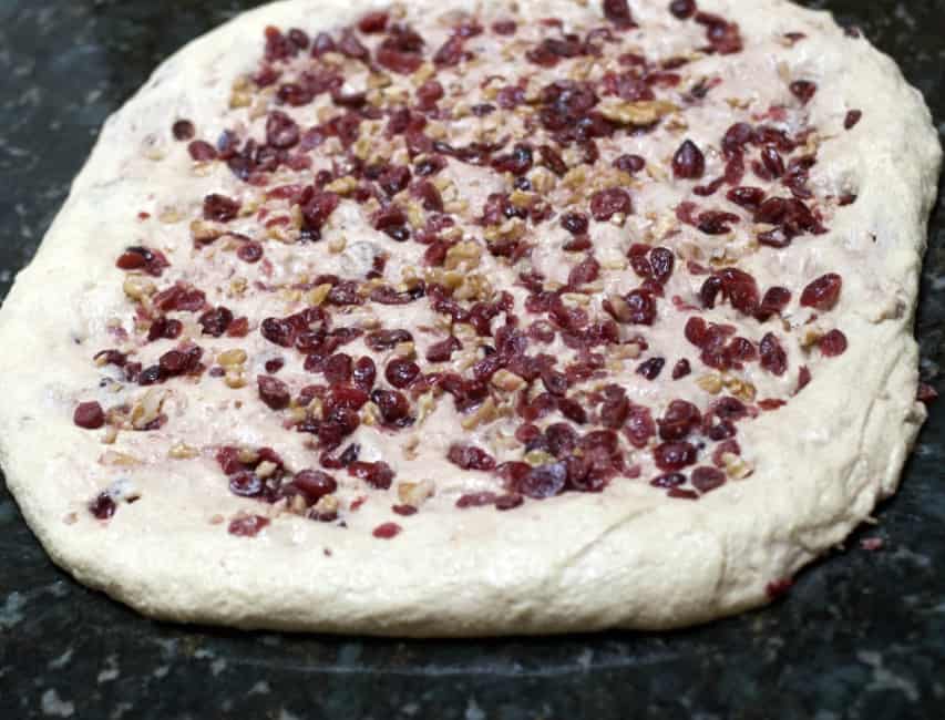 cranberries and nuts pressed into sourdough