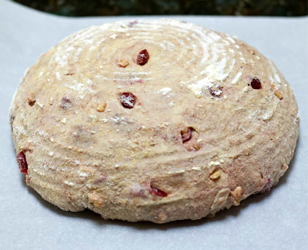 raw cranberry walnut sourdough bread dough
