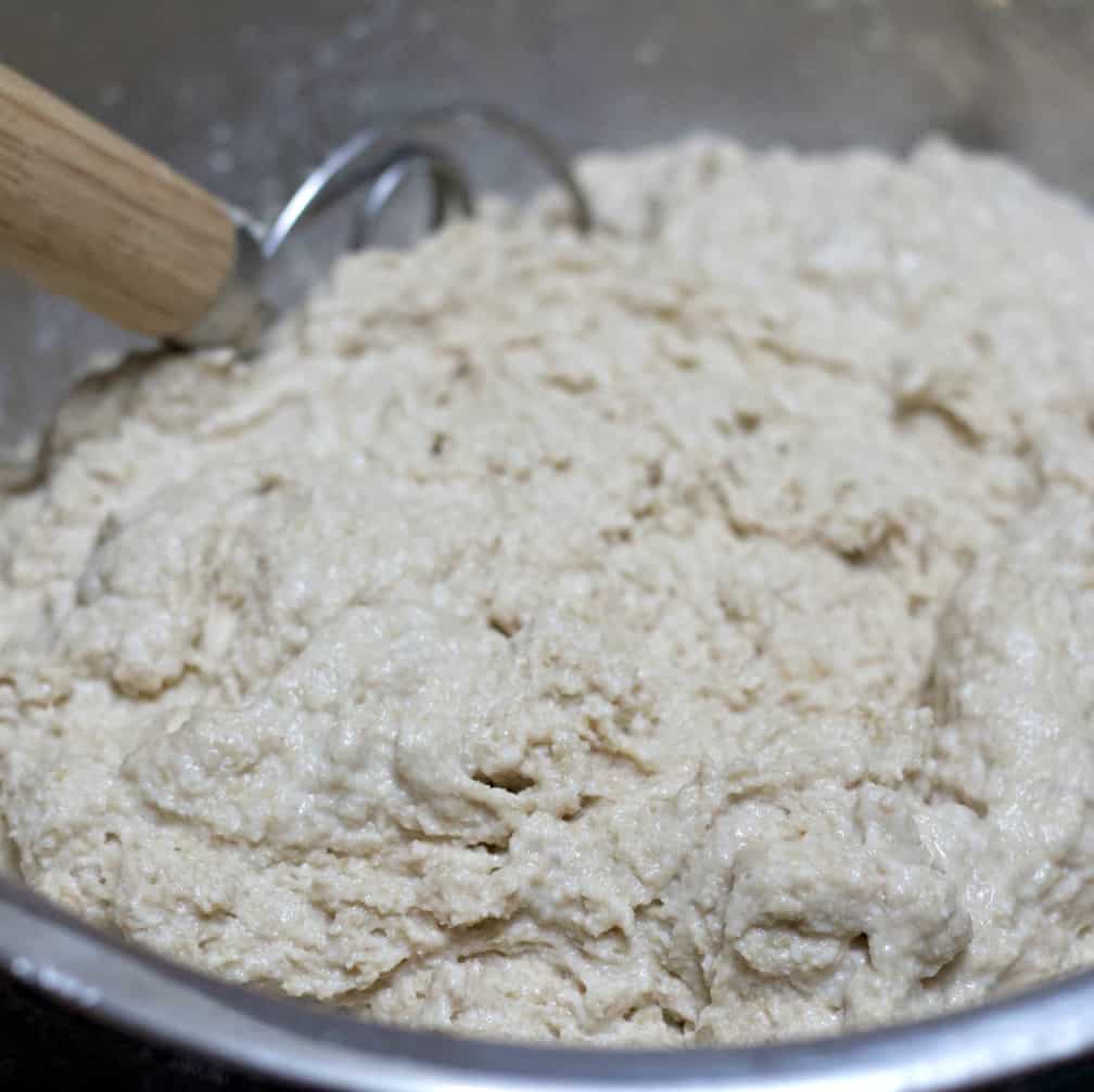 dough mixed-autolyse stage