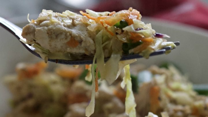 forkful- egg roll in a bowl