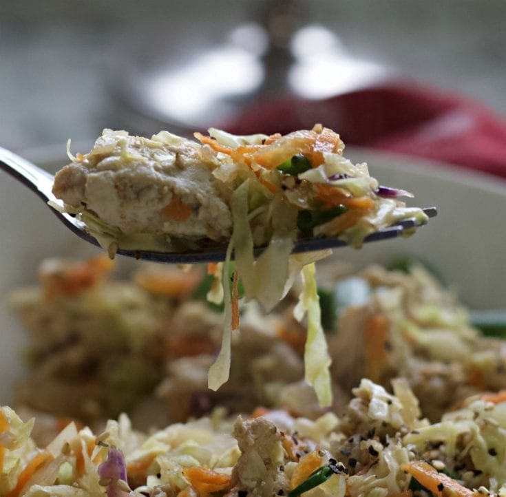 egg roll in a bowl spoon shot