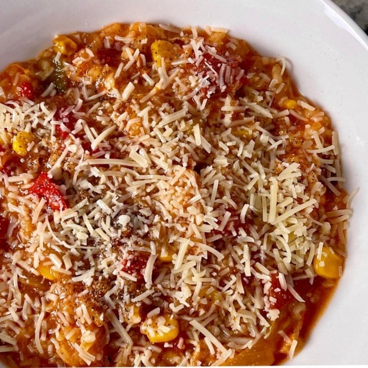slow cooker chicken soup with rice