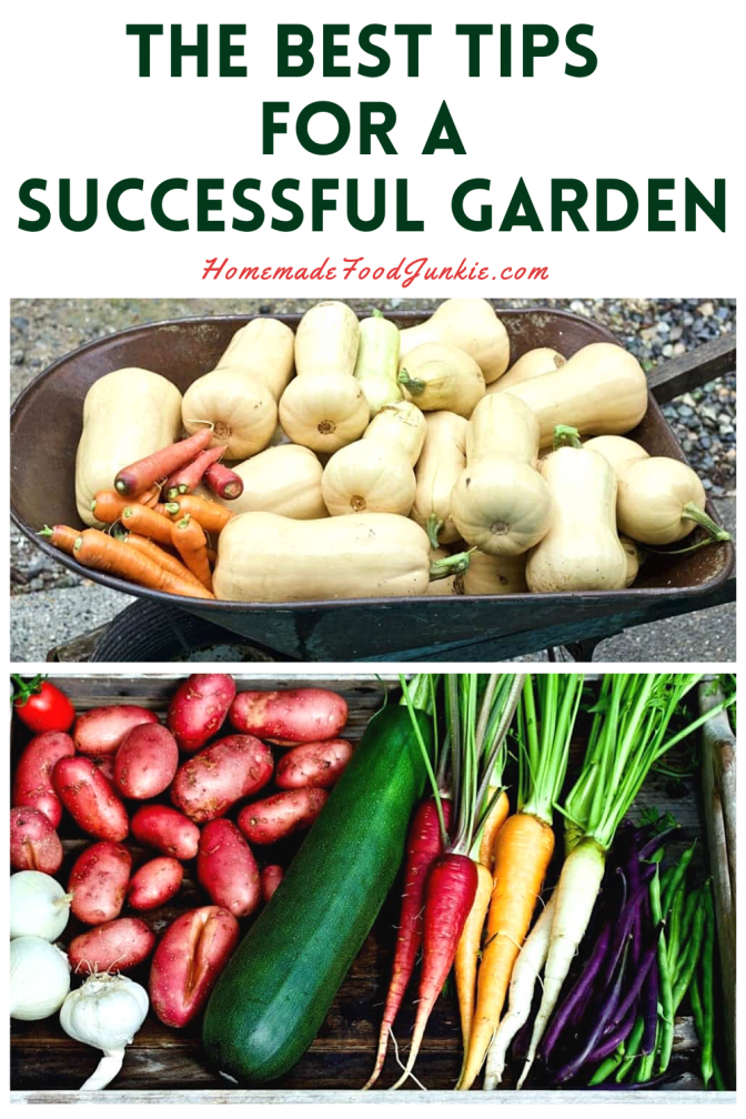 The best tips for a successful garden-pin image