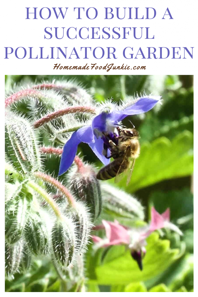 How to build a successful pollinator garden-pin image