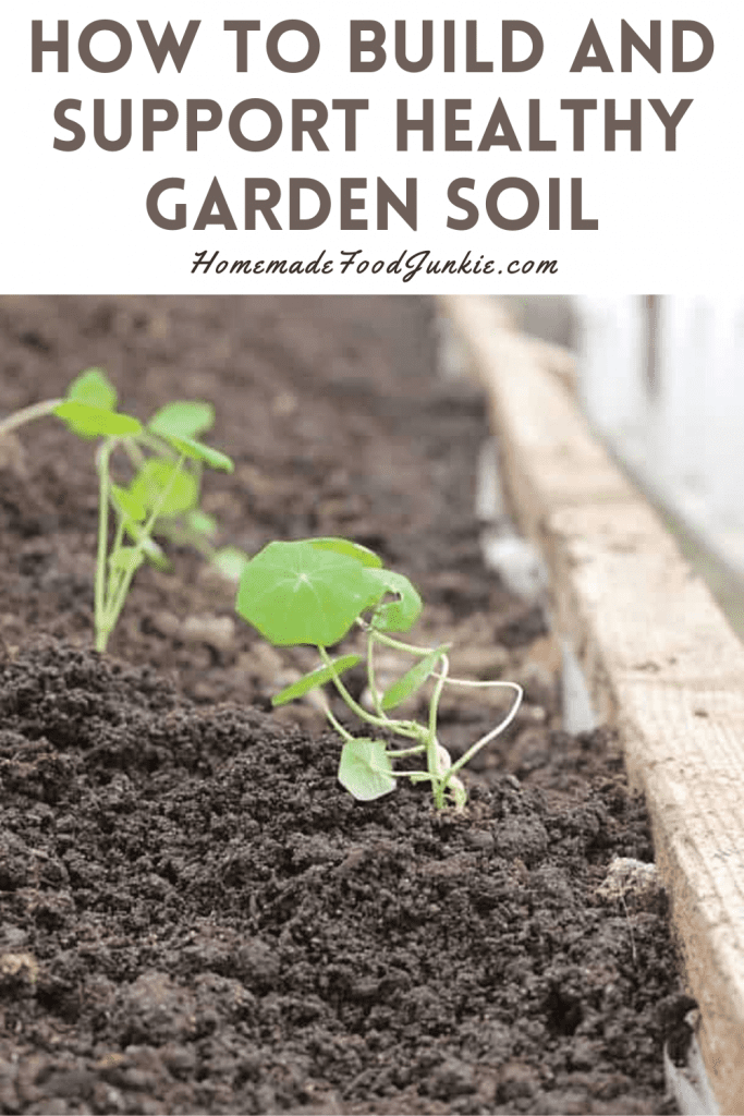 How to build and support healthy garden soil-pin image